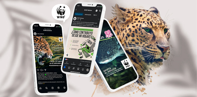 WWF